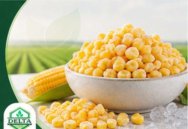 Sweet Corn